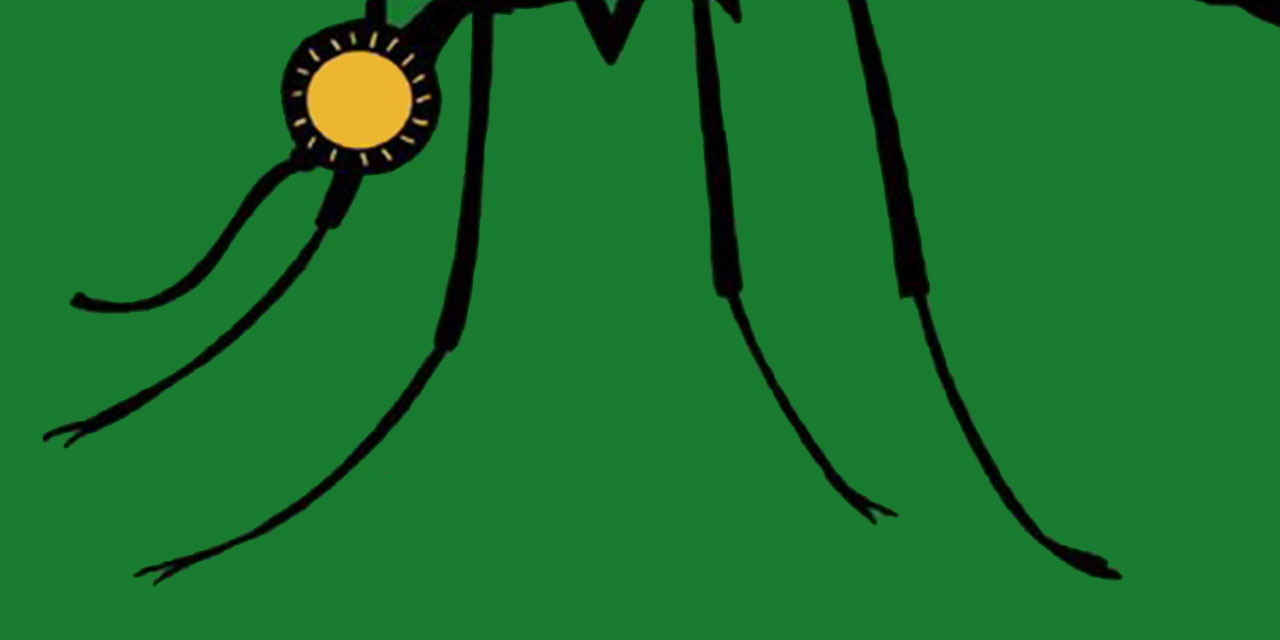 Sivrisineğin gözünü halk eden...