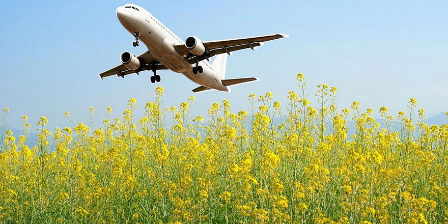 Hava yolu taşımacılığı salgın öncesi seviyesine ulaştı