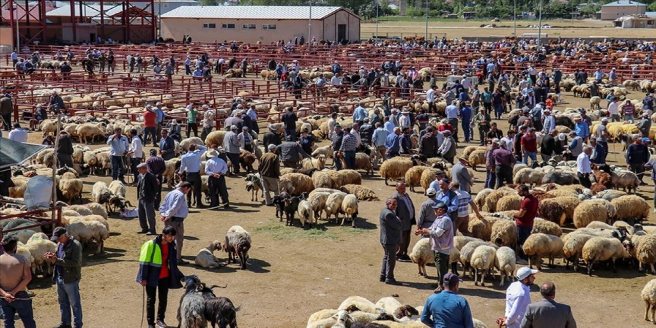 Kurban Bayramı'nda çevre temizliği için tedbirler