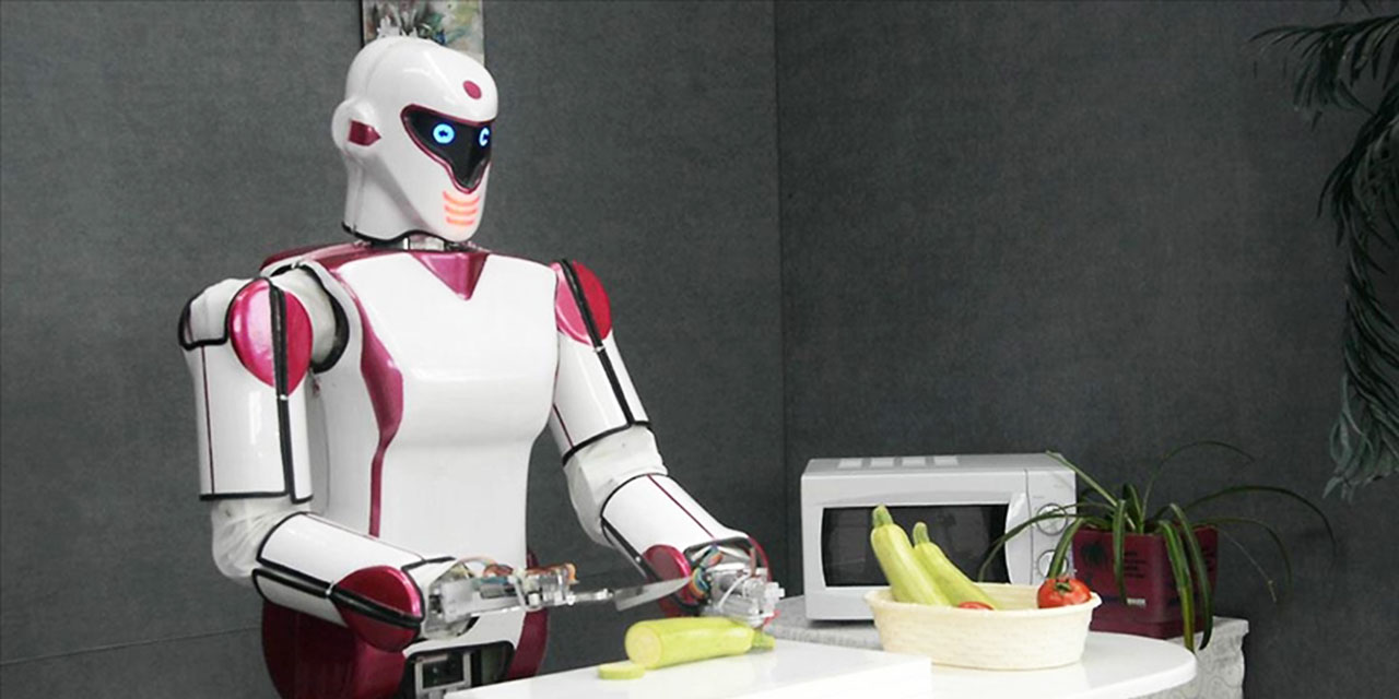 İnsansı robotlar gündelik hayata girmeye hazırlanıyor