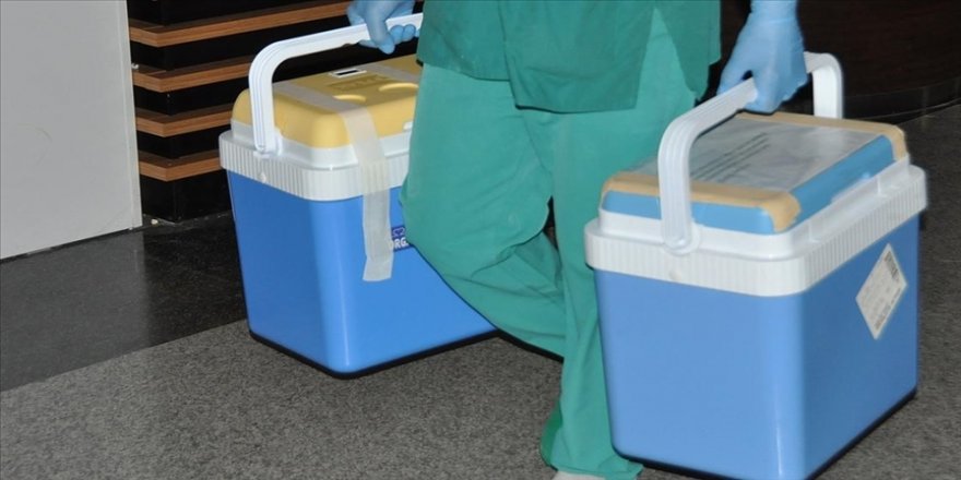 Organları ablası ile 4 kişiye şifa olacak