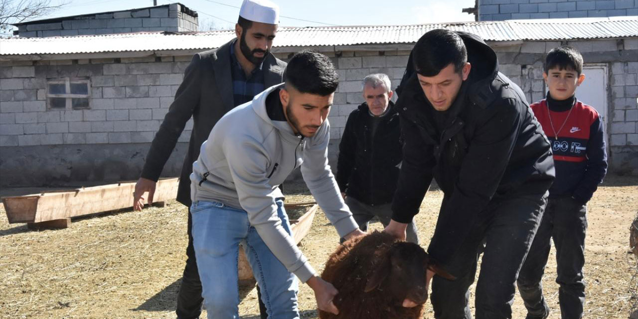 Iğdırlı çiftçiler 1550 küçükbaş hayvanı depremzedeler için bağışladı