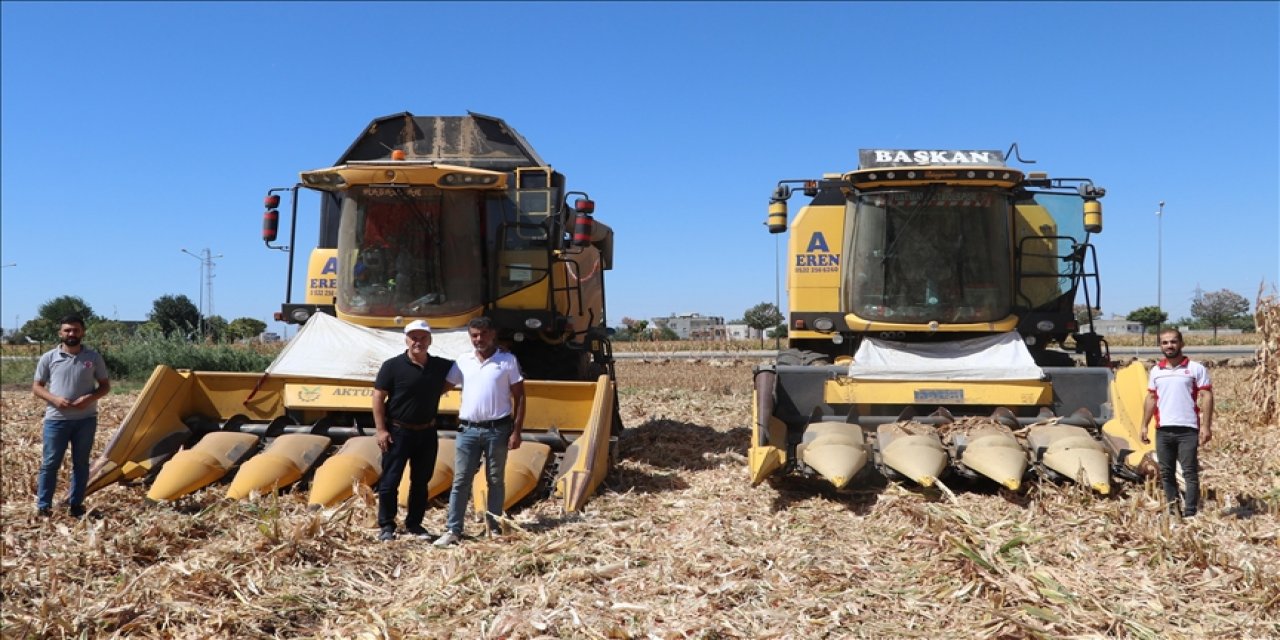 Kuraklık ve soğuğa dayanıklı tritikale geliştirilecek