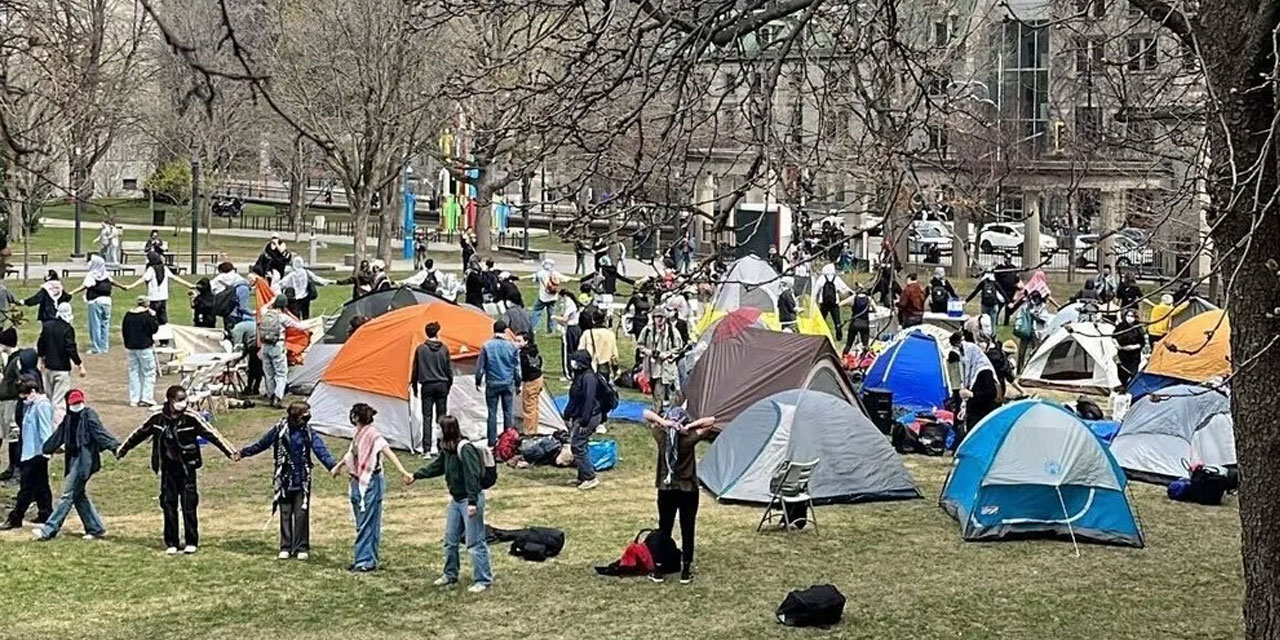 Kanada üniversitelerinde de Filistin'e destek için kamp kuruldu