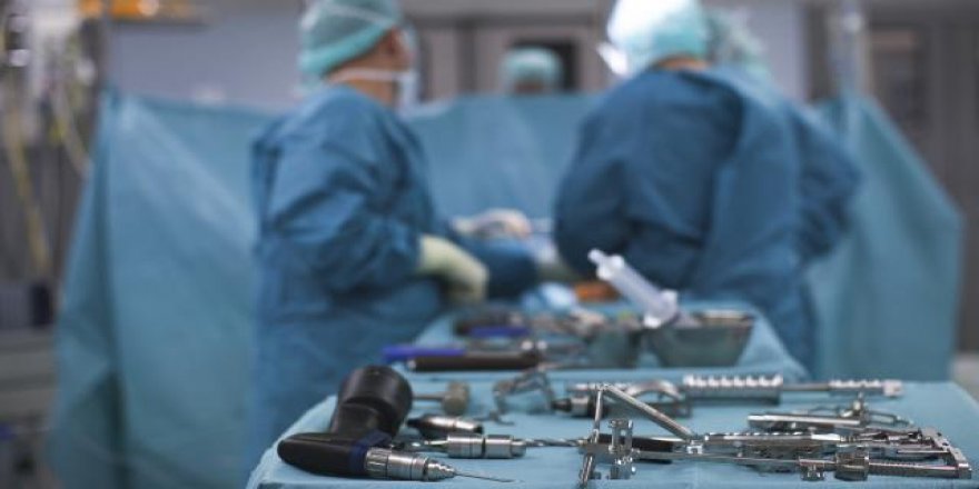 Dünyada ilk! Domuzdan insana böbrek nakli gerçekleştirildi