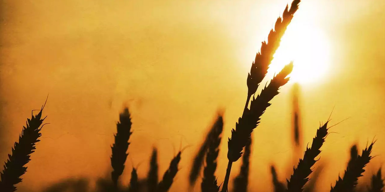 Hizmet-i Kur'âniyede vazifelerinin makbuliyetine bir emare olarak ihsan olunan bereketler