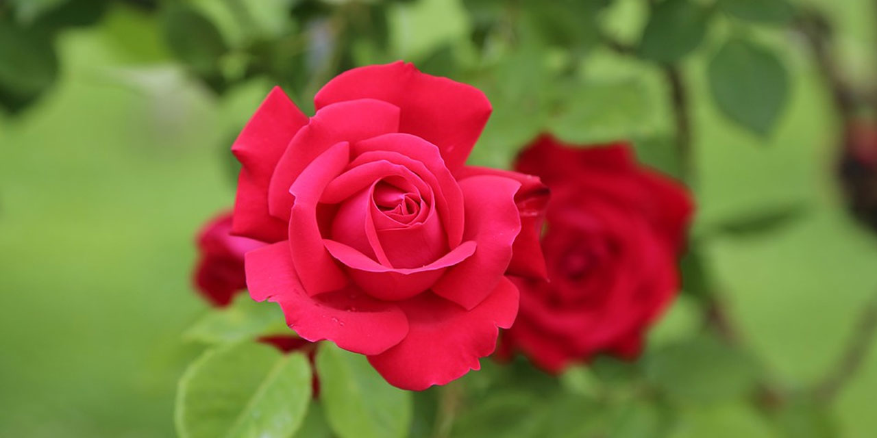 Mevlid Kandili nasıl idrak edilir? Mevlid Kandilinde hangi ibadetler yapılır?