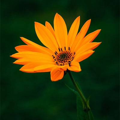 Bakara Suresi İkinci Ayetin Denizinden Bir Katre