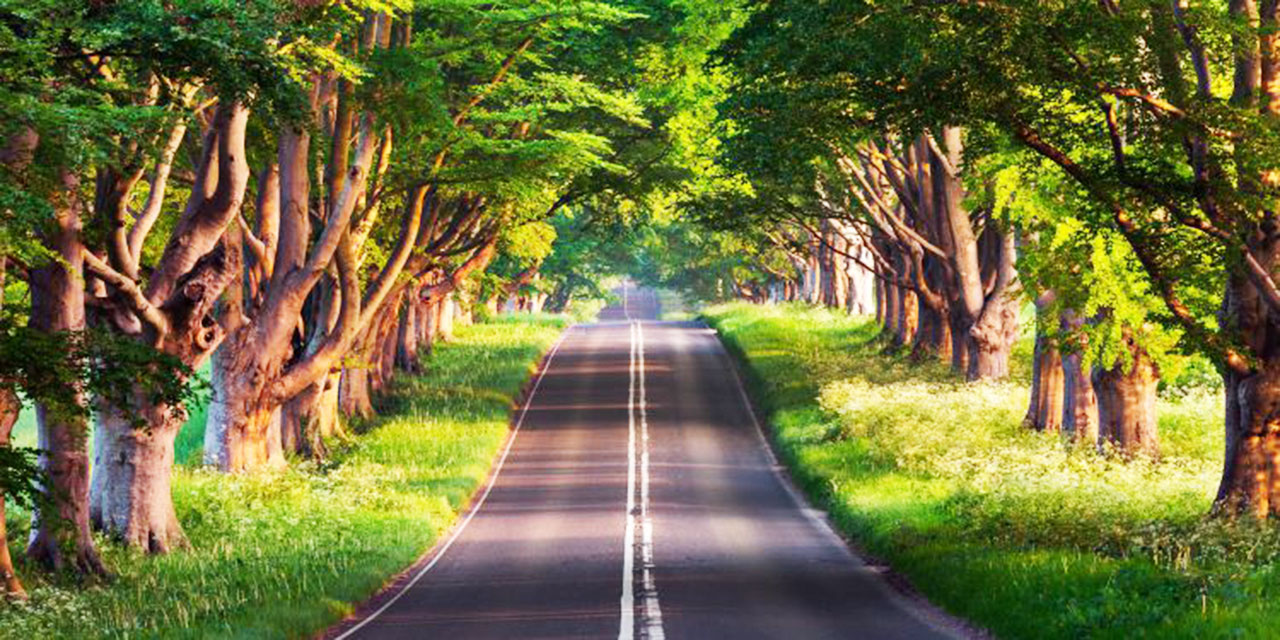 Menbâdan menbaa, izden yola, hakikatten mârifete götürüyor, çıkarıyor, ziyaret ettiriyor