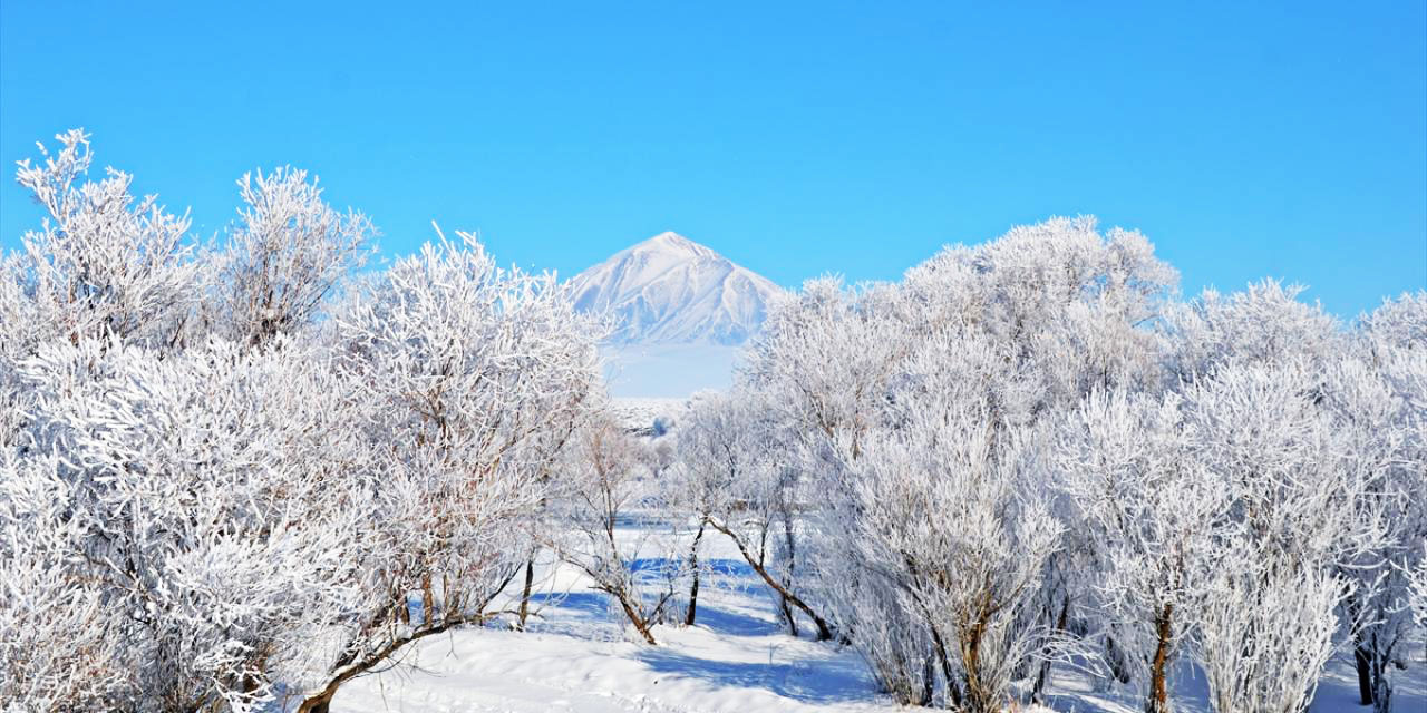 Ağrı’da ağaçlar kırağı ile beyaza büründü