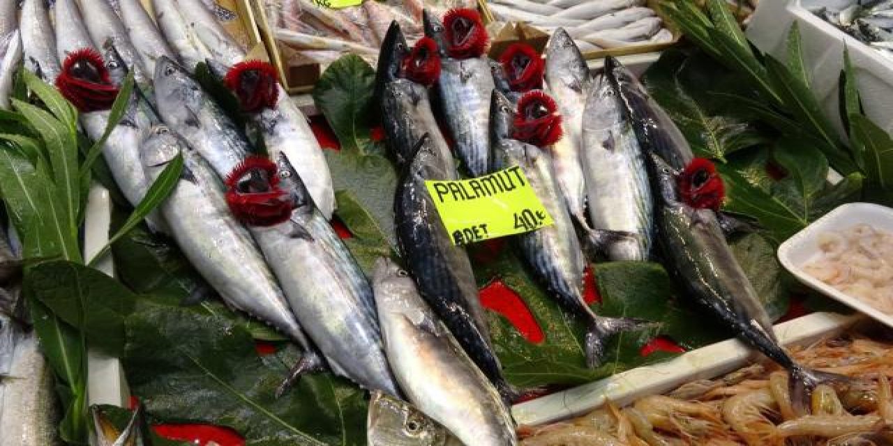 Palamut bolluğu balıkçıların yüzünü güldürmeye devam ediyor