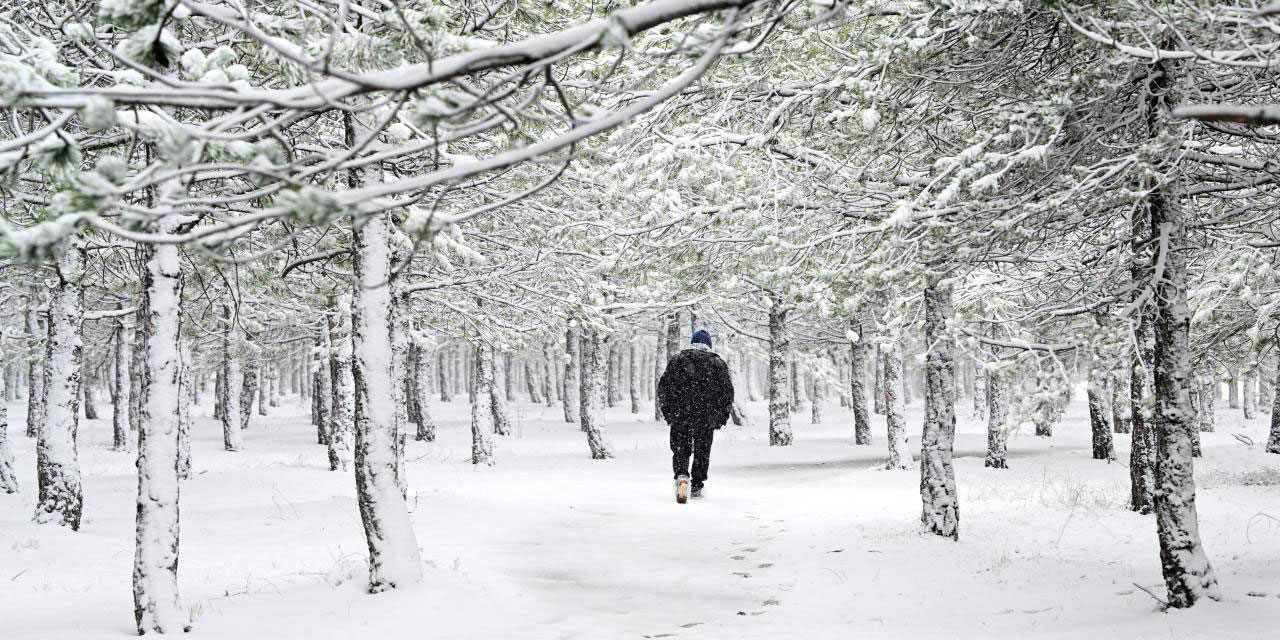 Bahar havasına mart molası: Birçok il beyaz rahmete büründü