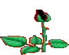 59210ogku8fgmpf.gif
