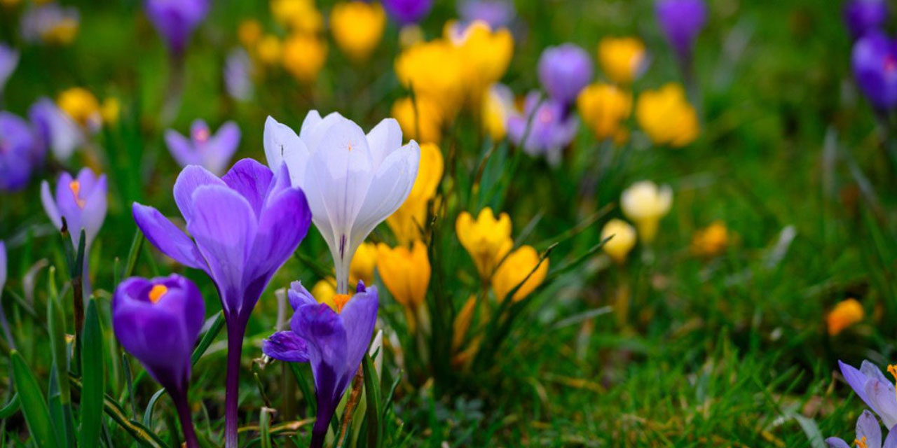 Hıdırellez Bayramının anlamı ve İslam'daki yeri