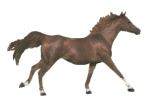 anhorse1.gif