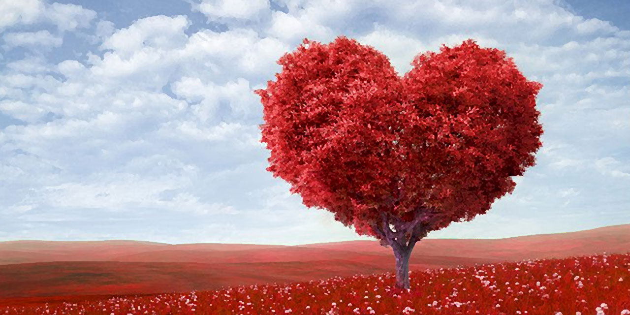 Bediüzzaman: Dünyada en sevdiğim şey muhabbet, en darıldığım şey de husumet ve adavettir