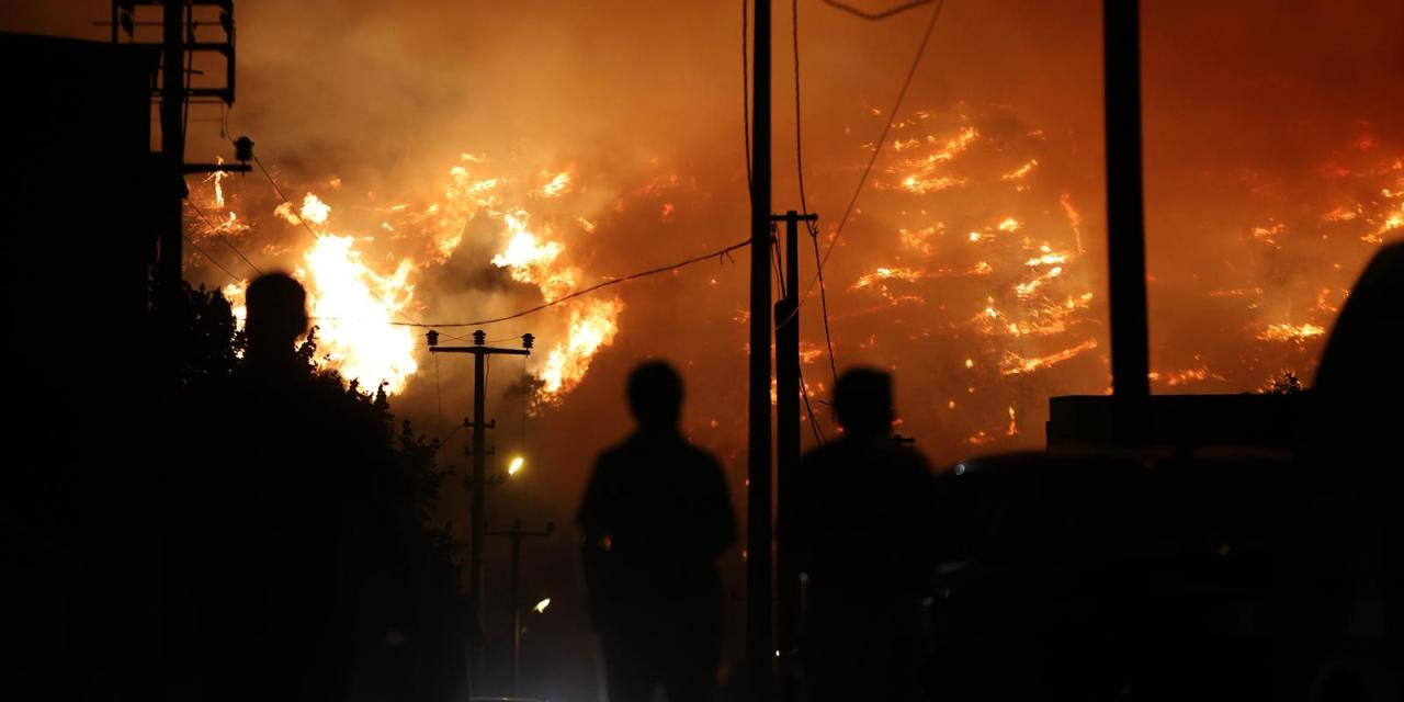 Orman yangınlarının yüzde 90'ı başta sigara olmak üzere insan kaynaklı