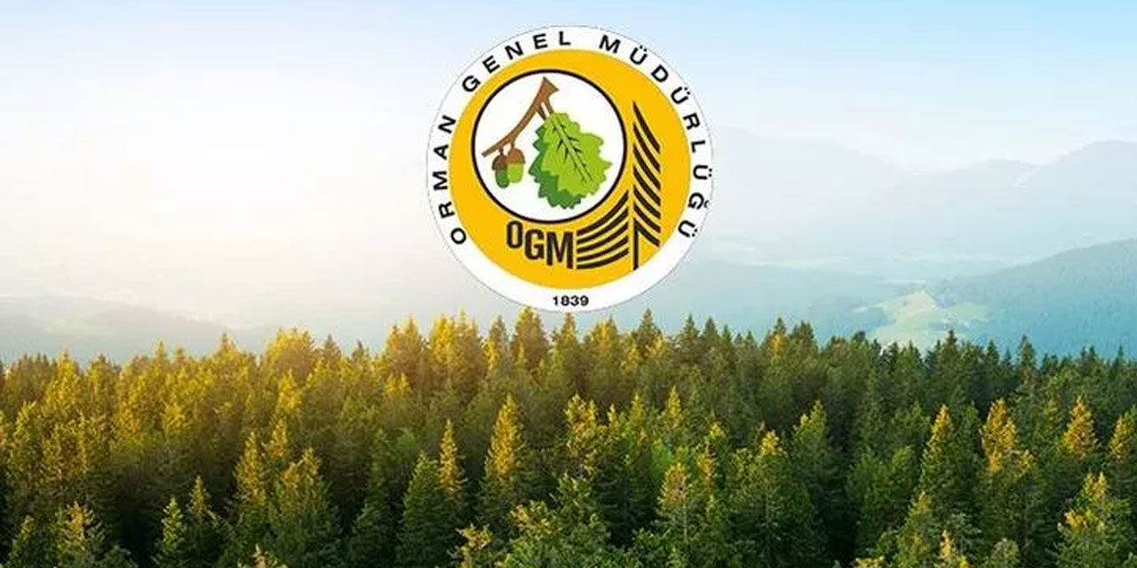 Orman Genel Müdürlüğü'ne 338 sözleşmeli personel alınacak