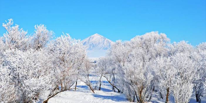 Ağrı’da ağaçlar kırağı ile beyaza büründü