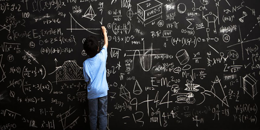 MEB matematik yaz okulları açacak