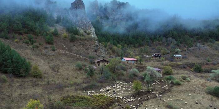 Zigana Dağı sonbahar renklerine büründü