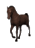 horse5.gif