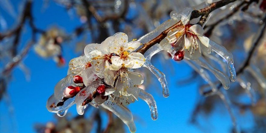 Meteorolojiden yurdun iç kesimleri için zirai don uyarısı