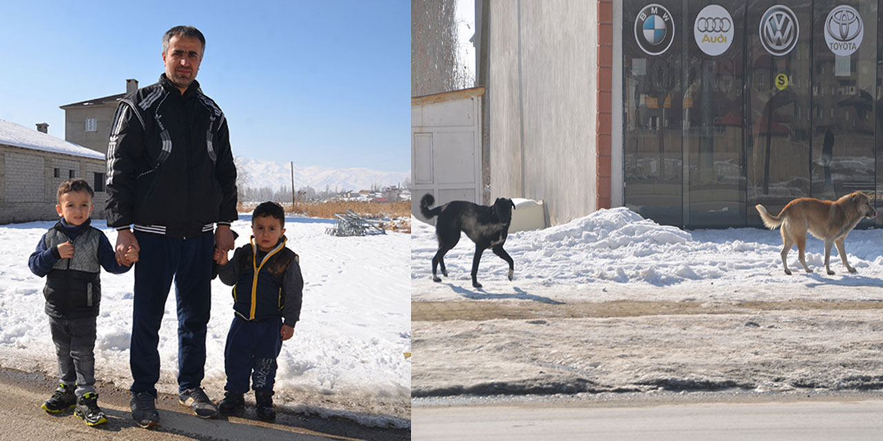 Köpeklerin öldürdüğü çocuğun komşuları: Çocuklarımıza da saldıracaklar diye çok korkuyoruz