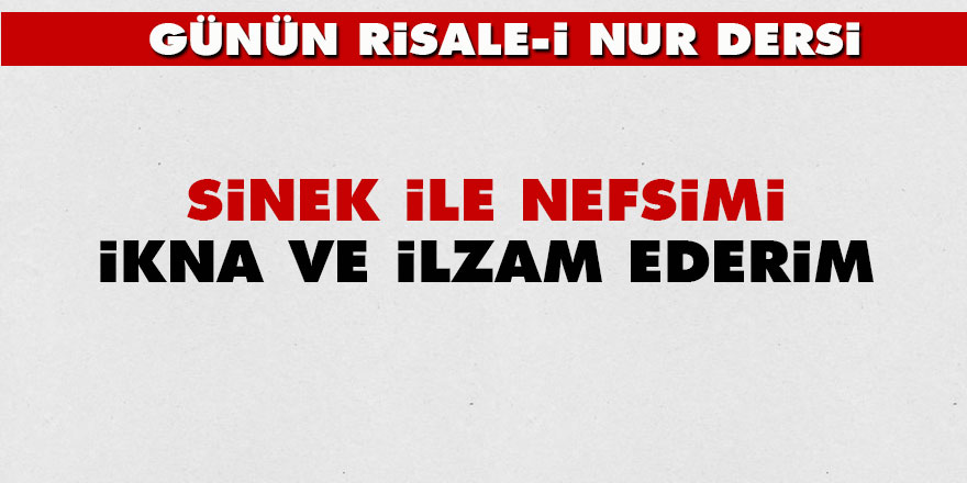 Sinek ile nefsimi ikna ve ilzam ederim
