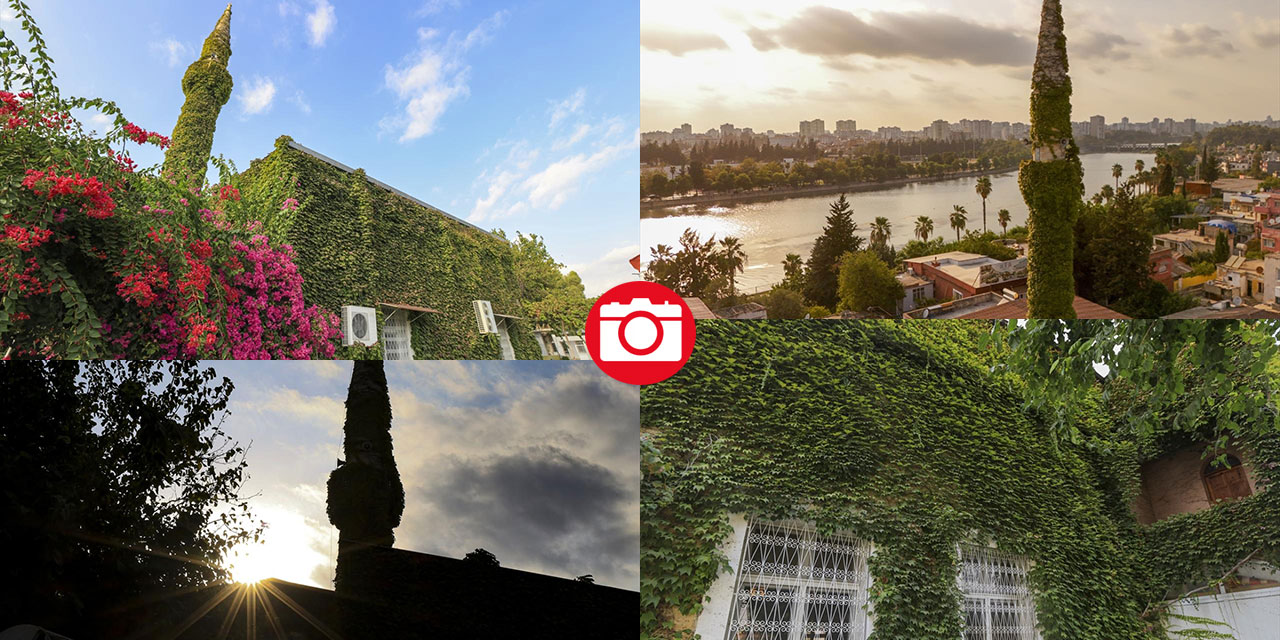 Sarmaşıkların içinde kaybolan cami