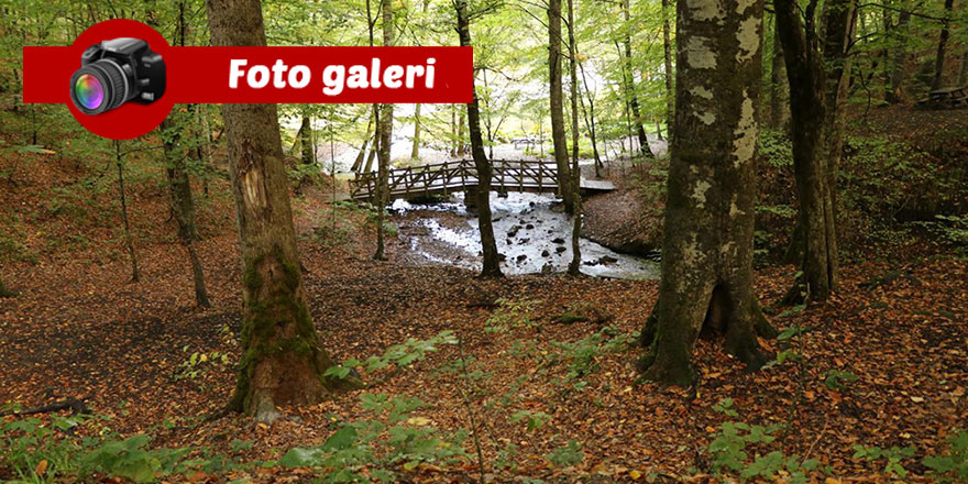 Yedigöller'de sonbahar renkleri ile tefekkür vakti