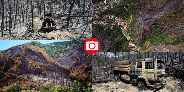 Yangın sonrası acı tablo: 'Yeşil' ve 'siyah' yan yana