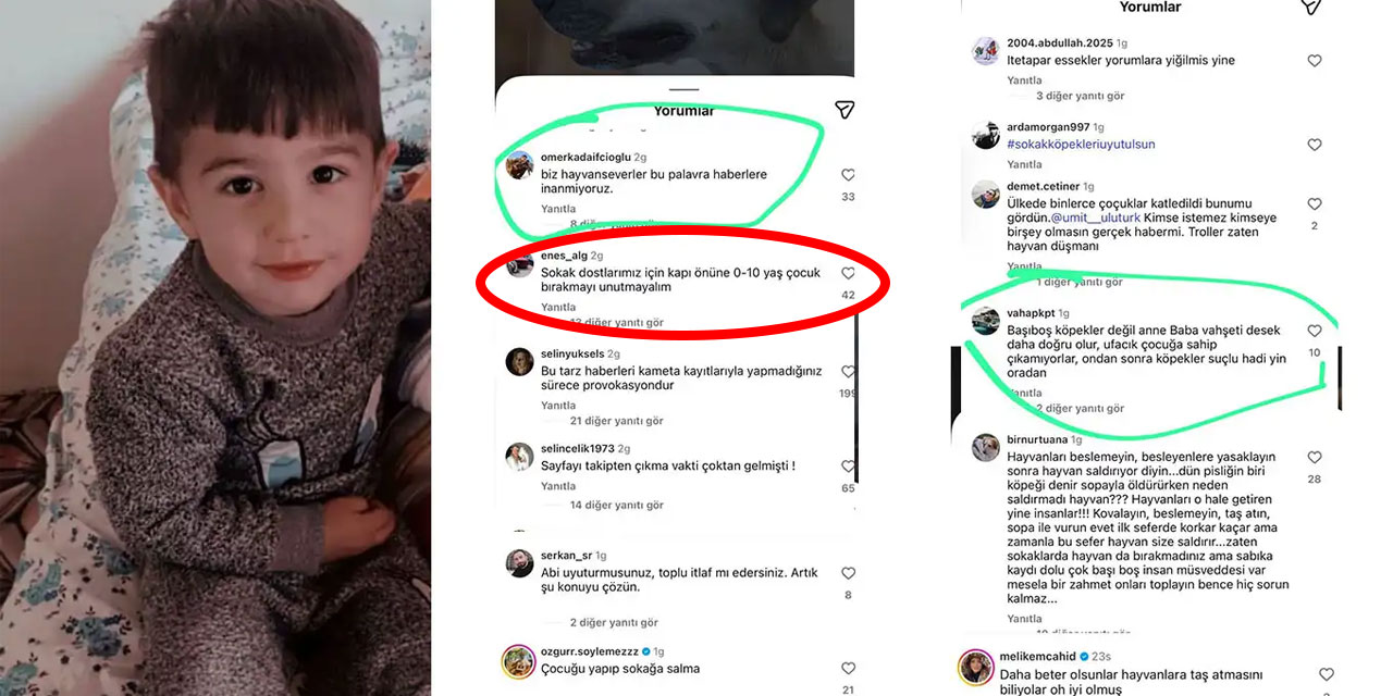 Köpekperestler daha vahşi: Sokak dostlarımız için kapı önüne 0-10 yaş çocuk bırakmayı unutmayalım!