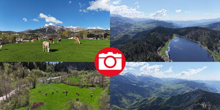 'Sakin şehir' ilkbaharla birlikte canlandı