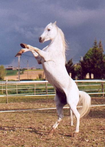 etiopathe.jpg