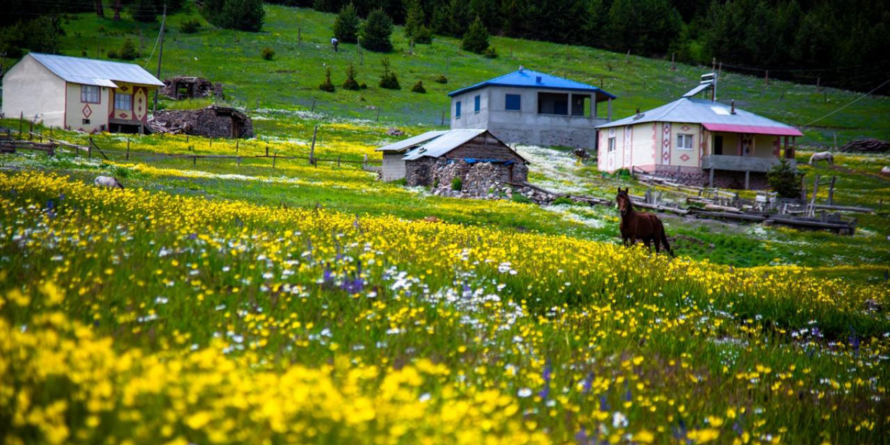 Bu güzel ilkbahar manzarası Türkiye'den