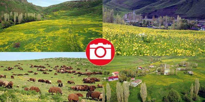 Ağrı'da baharın gelişiyle dağlar rengarenk oldu