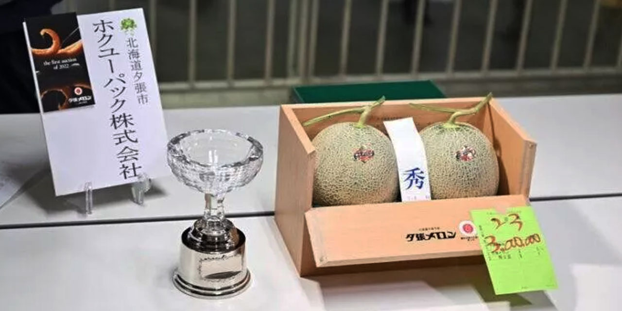 Allah'ın 3 kelime ile verdiği kavun Japonya'da 387 bin liraya satıldı