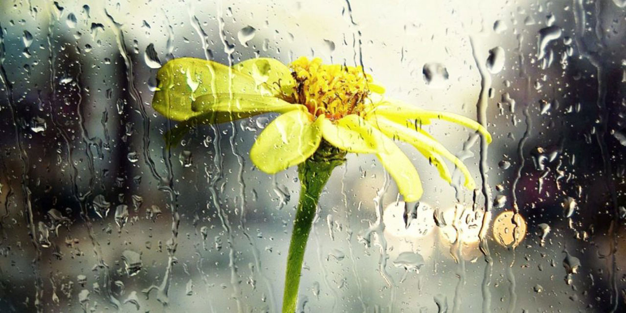 Yurt genelinde rahmet yağışları bekleniyor