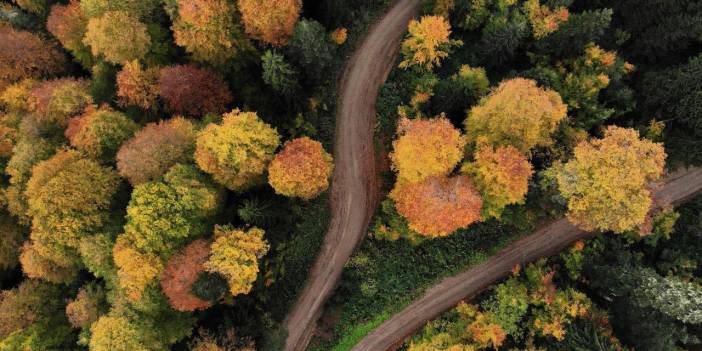 Erzincan’da hazan mevsimi güzelliğiErzincan’da hazan mevsimi güzelliği