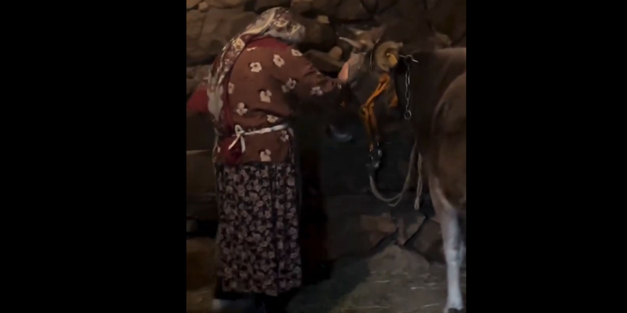 Umre'ye gitmek için sattığı ineğinden helallik isteyen Erzurumlu Nazmiye teyze