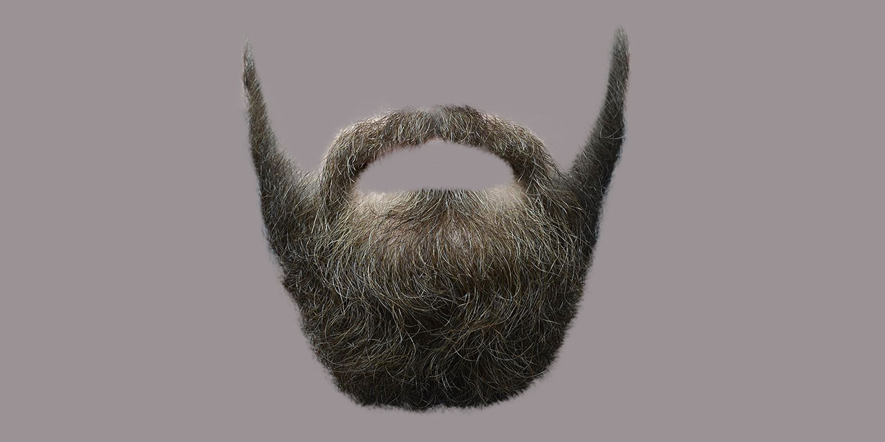 Köpeğin kuyruğu mu, hoca efendinin sakalı mı? Hangisi hayırlı?