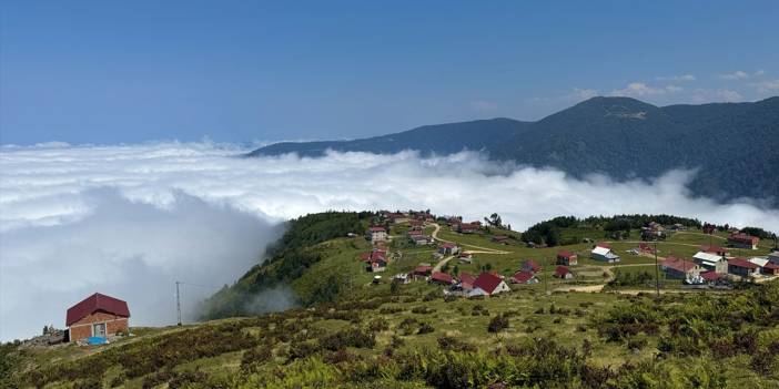 Rize'deki yayla bulutların üzerinde