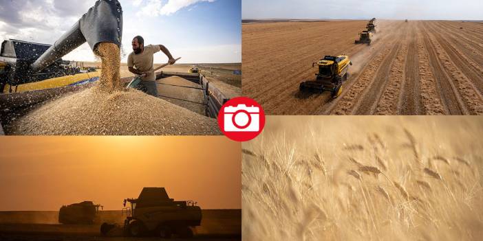 Ankara’da buğday hasadı mesaisi gece gündüz sürüyor