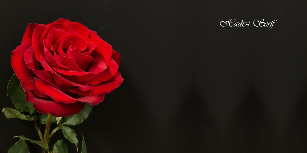 Allah o kulu dinde ince anlayış sahibi kılar, doğru yolu kendisine ilham eder