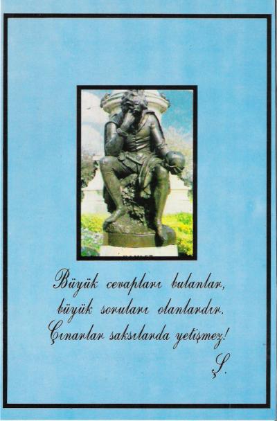 tara0081.jpg