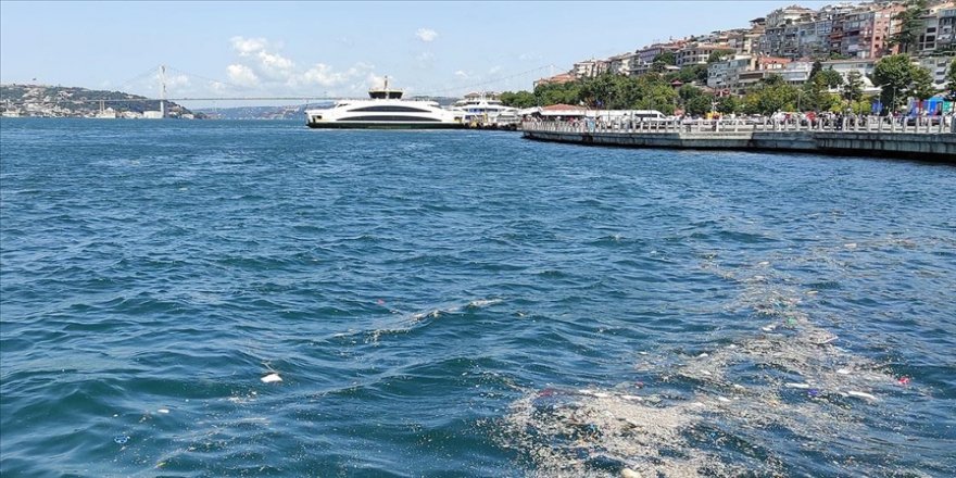 BM'den Kızıldeniz'de çevre felaketi uyarısı