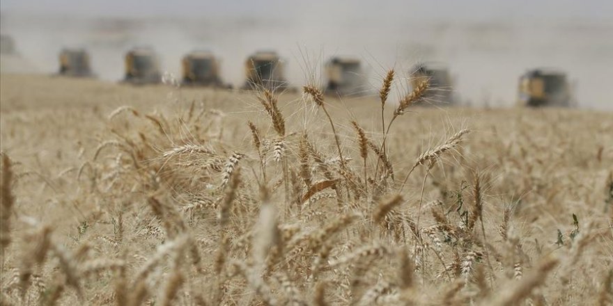 Rusya'dan tahıl krizinin çözümü için yaptırımları kaldırın önerisi