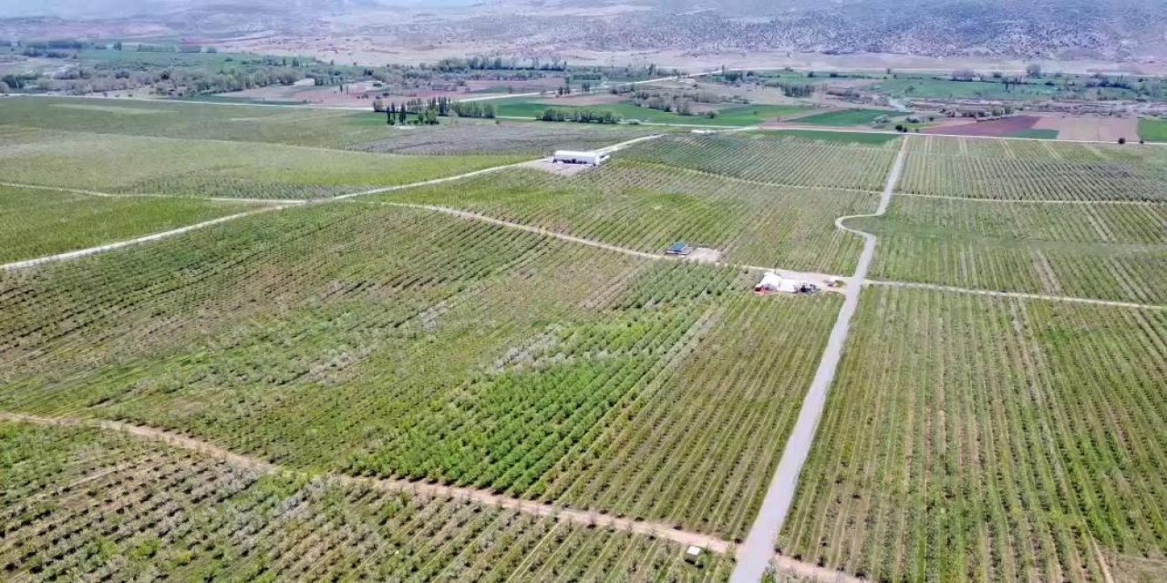 İşsizliği bitiren bu köy, il ve ilçelerden göç alıyor