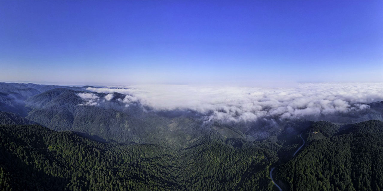 Çam Dağı'nda sis güzelliği